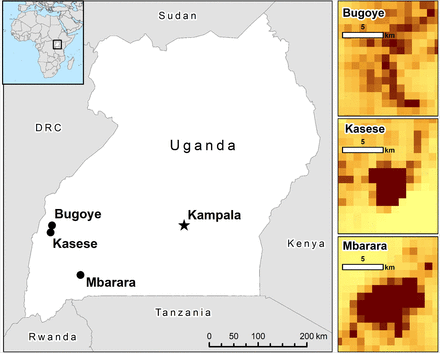 Figure 1: