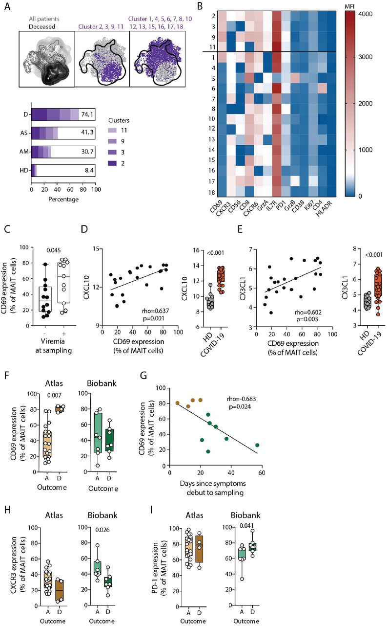 MAIT cell activation and dynamics associated with COVID-19 disease severity  and outcome