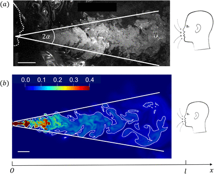 FIG. 1: