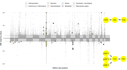 Figure 4: