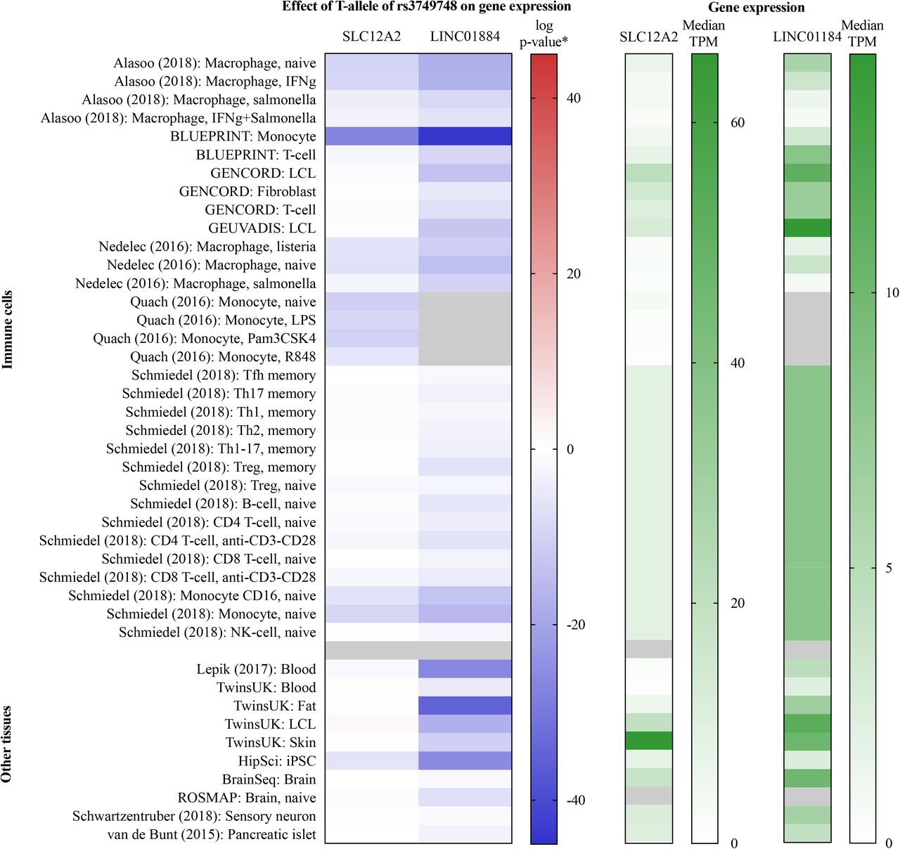 12agesex - Genome-wide association study of skin and soft tissue infection  susceptibility | medRxiv