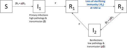 Figure 1: