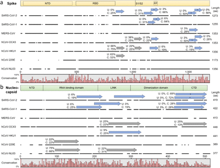 Fig. 2: