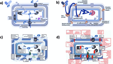 Figure 1: