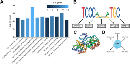 Figure 4.