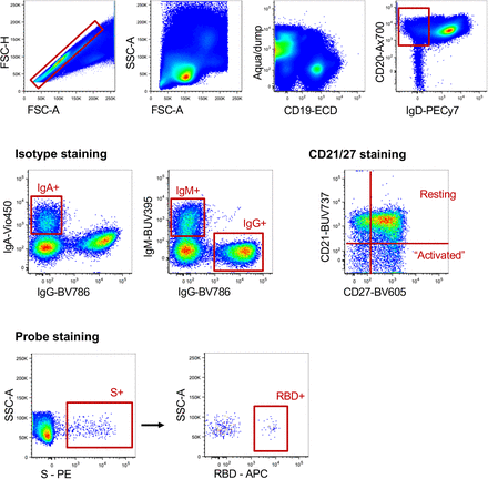 Supplementary Fig. S1: