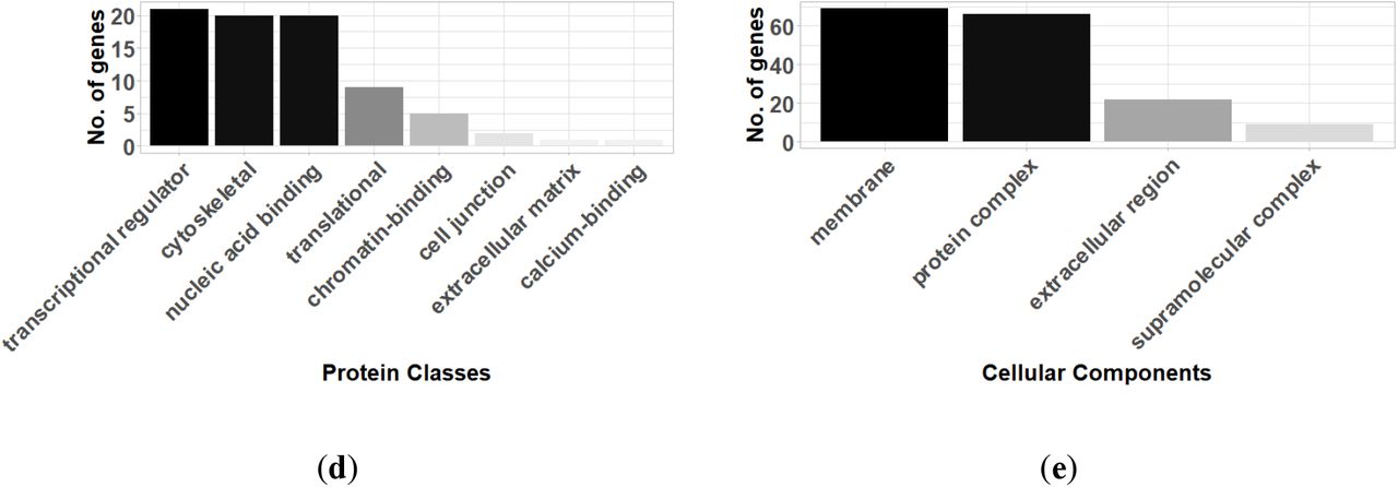 Profiling Genome Wide Dna Methylation Patterns In Human Aortic And Mitral Valves Medrxiv