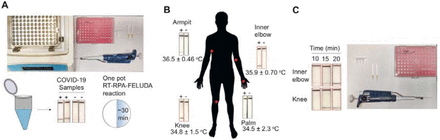 Fig. 4: