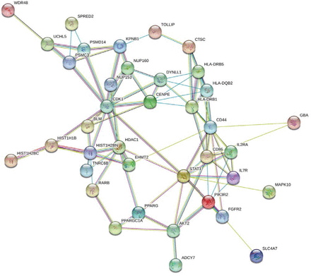 Figure 4.