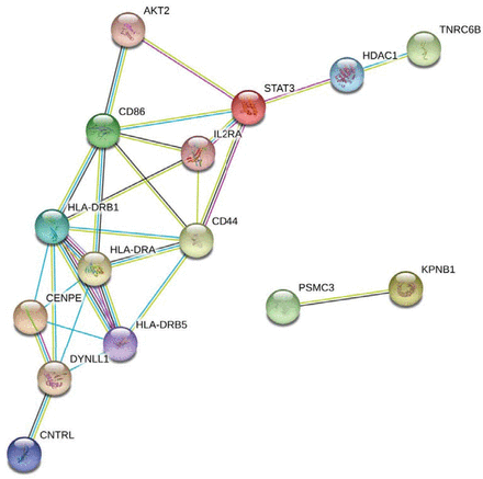 Figure 4.