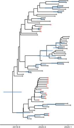 Figure 1-Figure supplement 1.