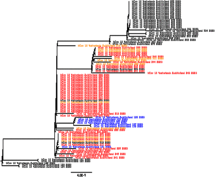 Figure 2: