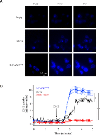 Figure 4.