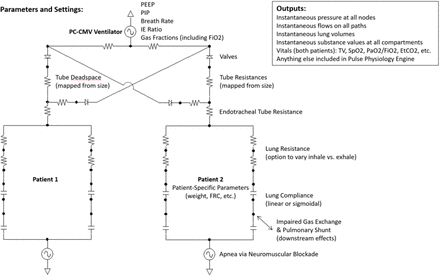 S1 Fig.