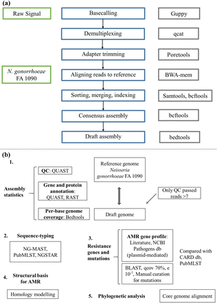 Figure 1: