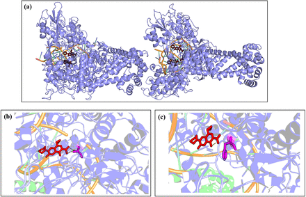 Figure 2: