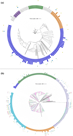 Figure 5: