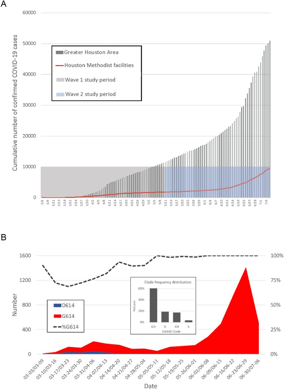 Molecular Architecture Of Early Dissemination And Massive Second Wave Of The Sars Cov 2 Virus In A Major Metropolitan Area Medrxiv