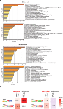 Extended Data Figure 5: