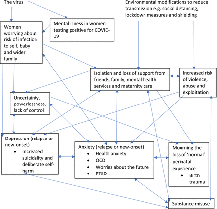 Fig 1: