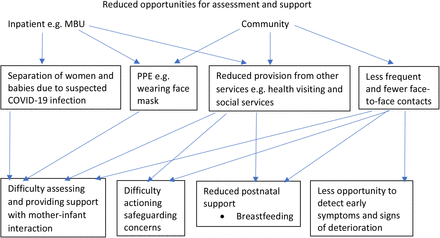 Fig 2: