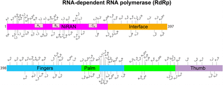 FIG 3.