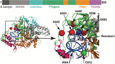 FIG 4.