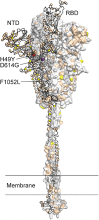 FIG 6.