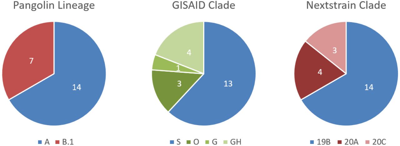 First Phylogenetic Analysis Of Malian Sars Cov 2 Sequences Provide Molecular Insights Into The Genomic Diversity Of The Sahel Region Medrxiv