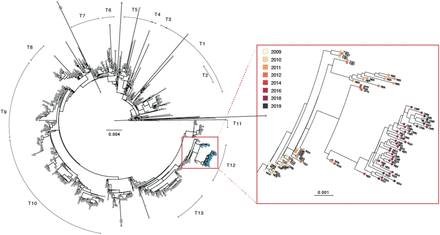 Figure 2.