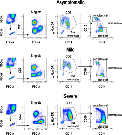 Supplementary Figure S2: