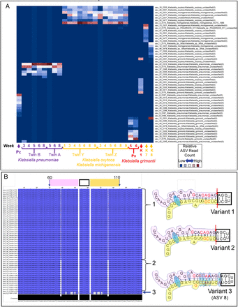 Fig 3.