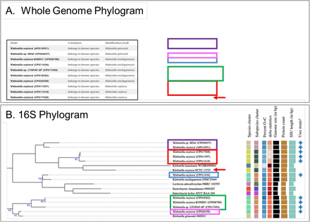 Supplementary Fig S3.