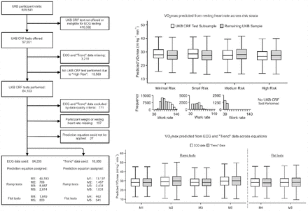 Supplementary Figure 3.