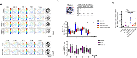 Figure 4: