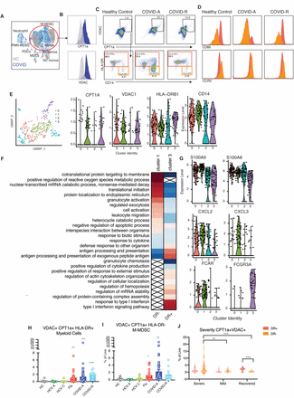 Figure 6: