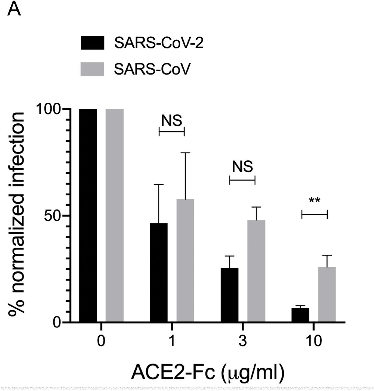 Novel Sars Cov 2 Specific Antibody And Neutralization Assays Reveal Wide Range Of Humoral Immune Response During Covid 19 Medrxiv