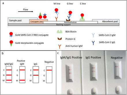 Figure 1: