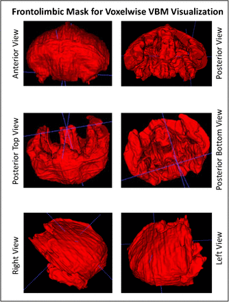 Supplementary Figure 1