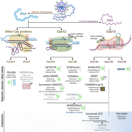 Supplementary Figure 1.