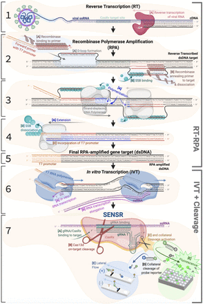 Supplementary Figure 3.