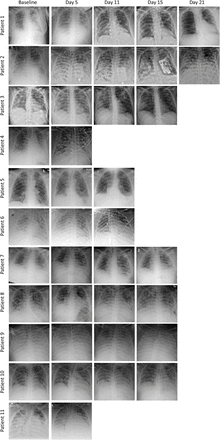 Supplement Figure 3.