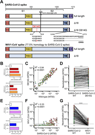 Figure 5: