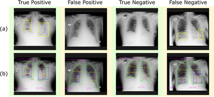 Figure 5: