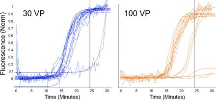 Figure 10.