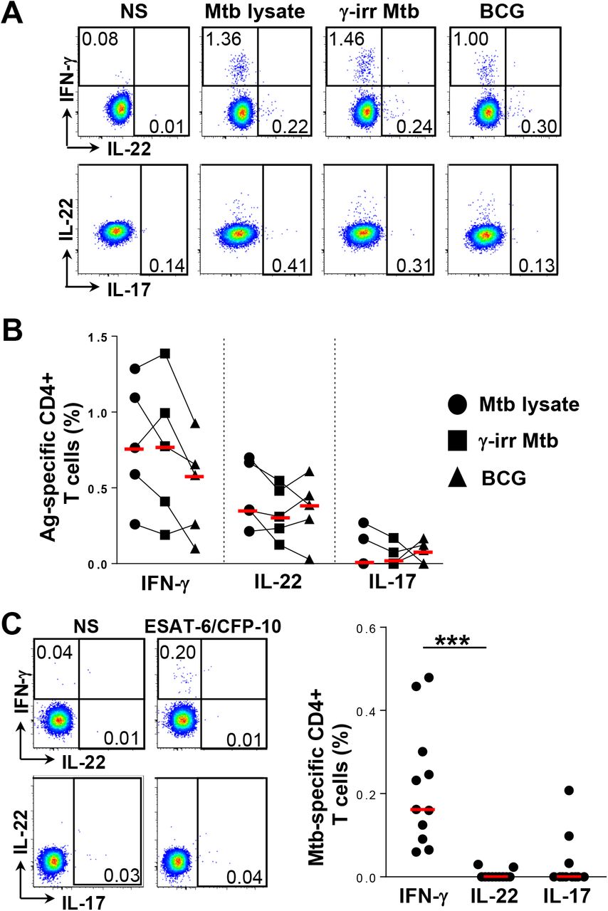 Characterization of Mycobacterium tuberculosis-specific Th22 cells 