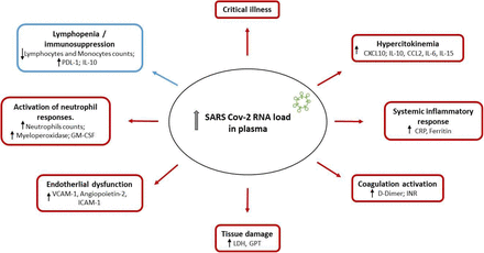 Figure 5: