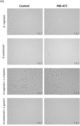 Figure 4: