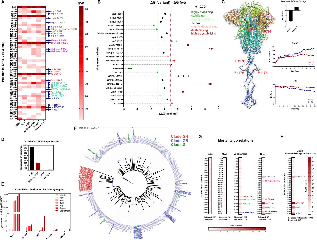 Large Scale Population Analysis Of Sars Cov 2 Whole Genome Sequences Reveals Host Mediated Viral Evolution With Emergence Of Mutations In The Viral Spike Protein Associated With Elevated Mortality Rates Medrxiv