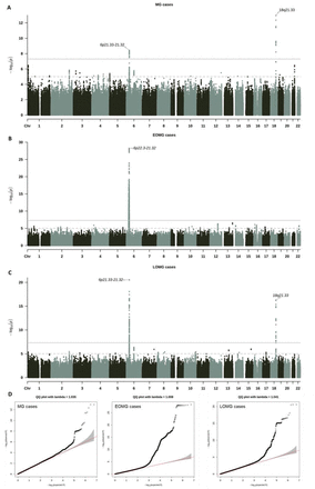 Figure 1: